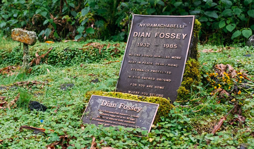 Dian Fossey Tomb Hiking